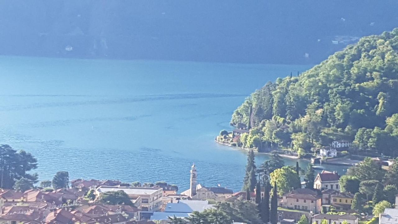 Appartement Domus Alba