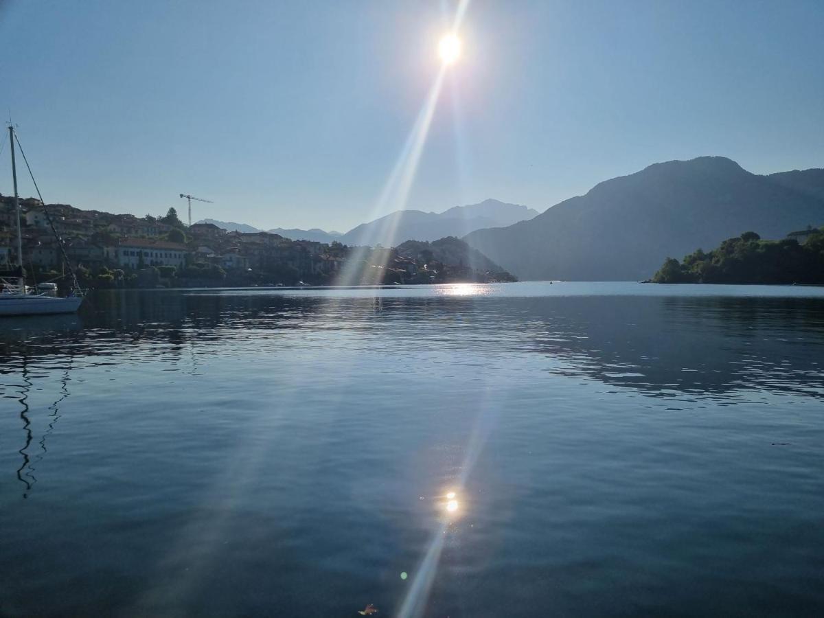 Appartement Domus Alba *