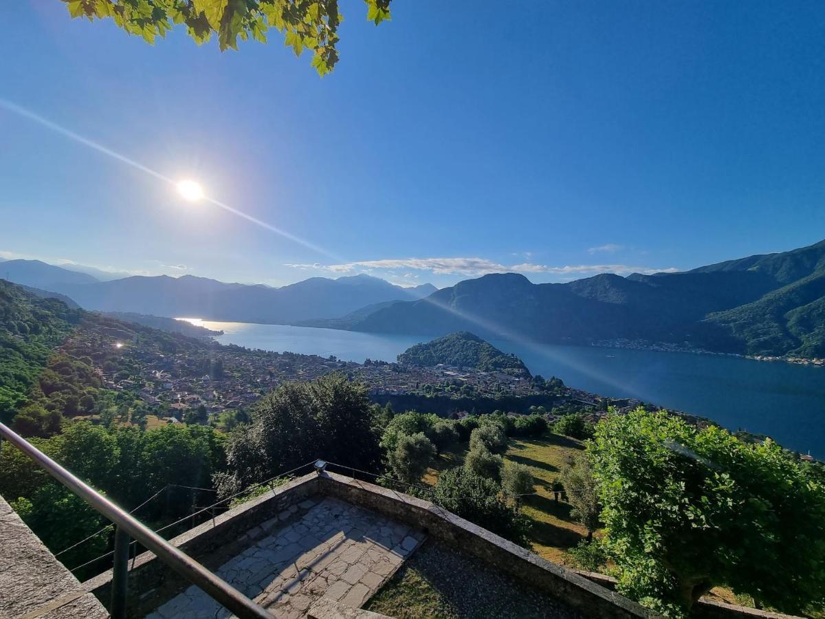 Domus Alba Appartement