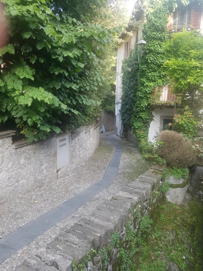 Appartement Domus Alba