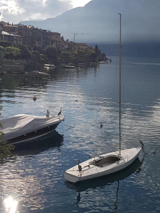 Appartement Domus Alba Lenno